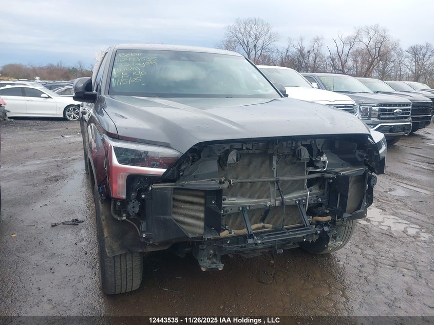 5TFLA5DB3PX128981 2023 Toyota Tundra auction photo 1