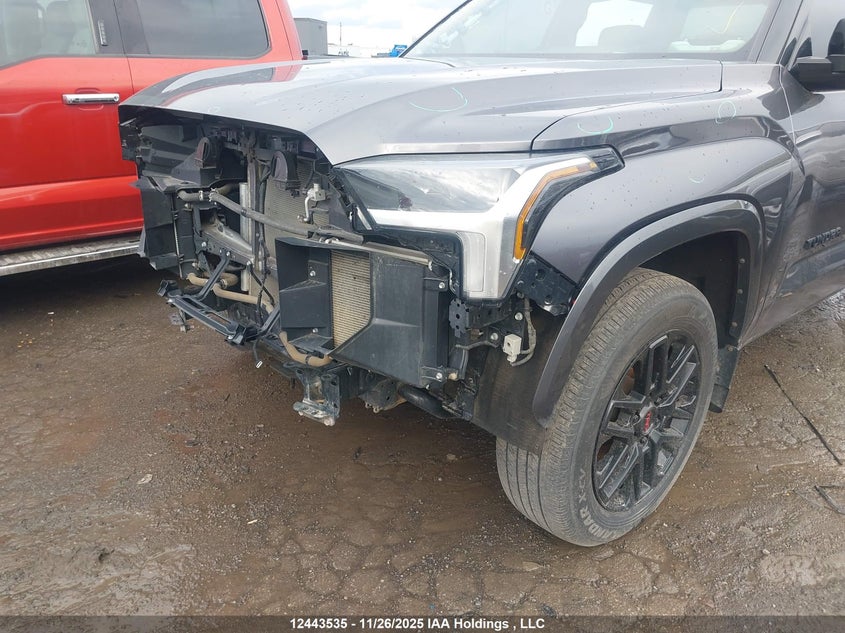 2023 Toyota Tundra VIN: 5TFLA5DB3PX128981 Lot: 12443535