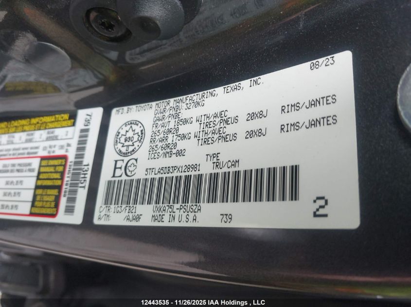 2023 Toyota Tundra VIN: 5TFLA5DB3PX128981 Lot: 12443535