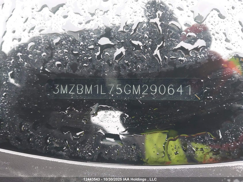 3MZBM1L75GM290641 2016 MAZDA 3 photo no. 19