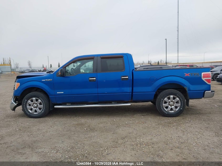 2014 Ford F150 Supercrew VIN: 1FTFW1ETXEFC17223 Lot: 12443564
