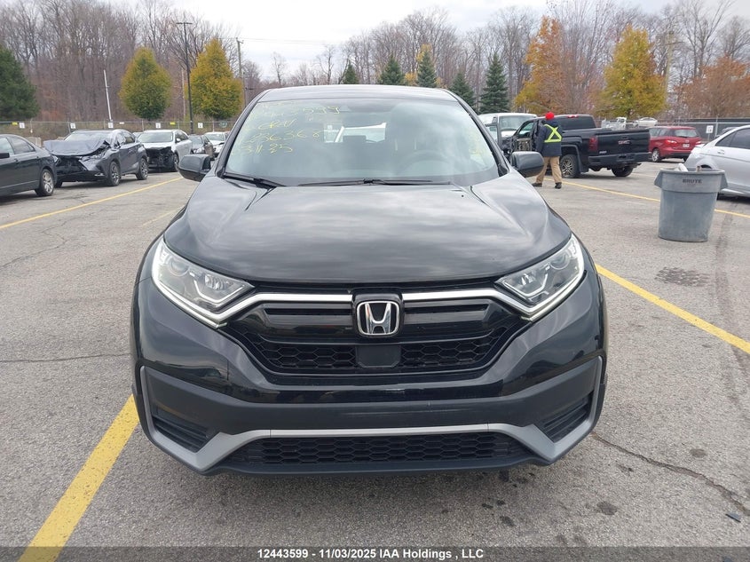 2020 Honda Cr-V Lx VIN: 2HKRW2H29LH236368 Lot: 12443599