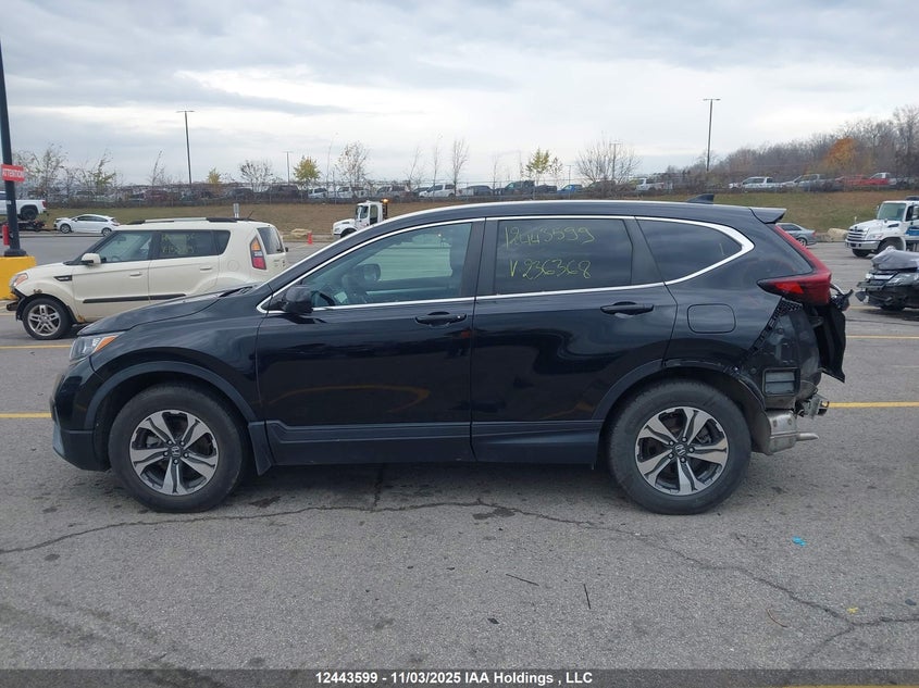 2020 Honda Cr-V Lx VIN: 2HKRW2H29LH236368 Lot: 12443599
