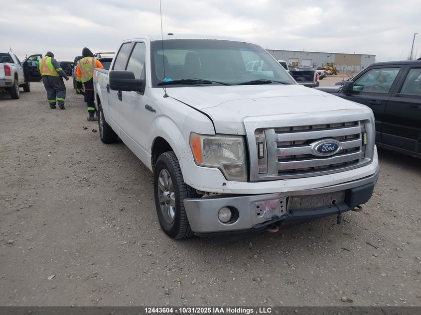 1FTFW1EF3BFC35908 2011 Ford F-150 Xlt auction photo 1