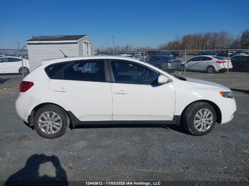 2012 Kia Forte Lx VIN: KNAFT5A24C5608378 Lot: 12443612