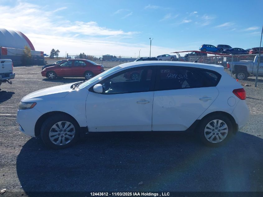 2012 Kia Forte Lx VIN: KNAFT5A24C5608378 Lot: 12443612