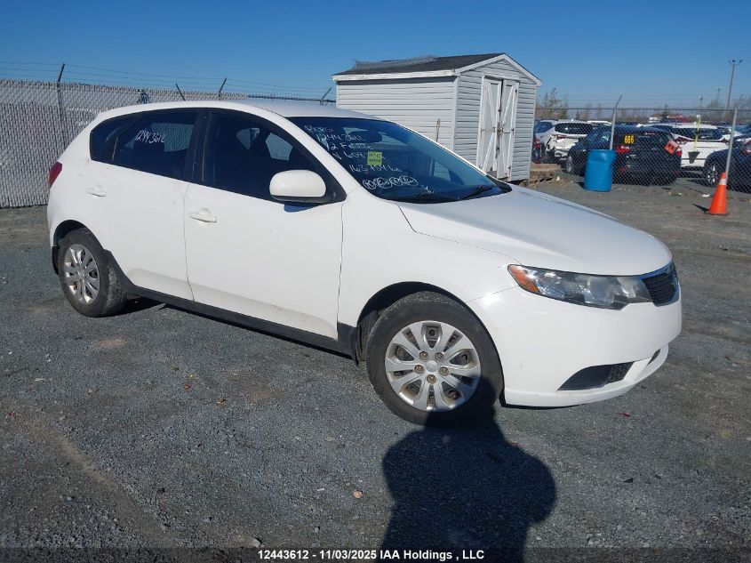 2012 Kia Forte Lx VIN: KNAFT5A24C5608378 Lot: 12443612