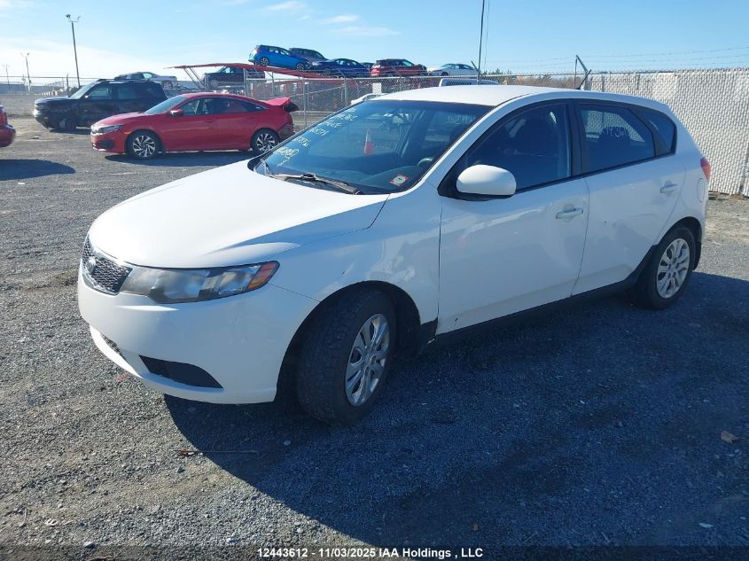 2012 Kia Forte Lx VIN: KNAFT5A24C5608378 Lot: 12443612