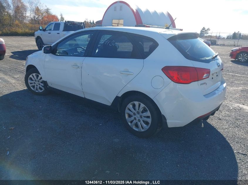 2012 Kia Forte Lx VIN: KNAFT5A24C5608378 Lot: 12443612