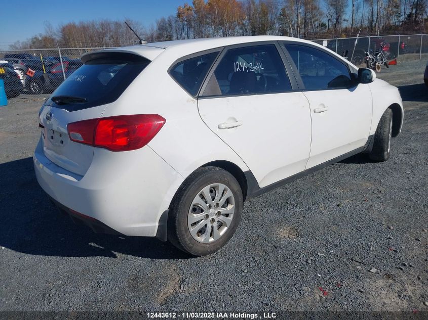 2012 Kia Forte Lx VIN: KNAFT5A24C5608378 Lot: 12443612