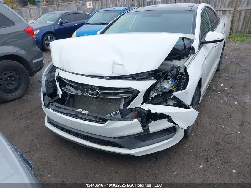 5NPE34AF4FH065310 2015 HYUNDAI SONATA photo no. 6