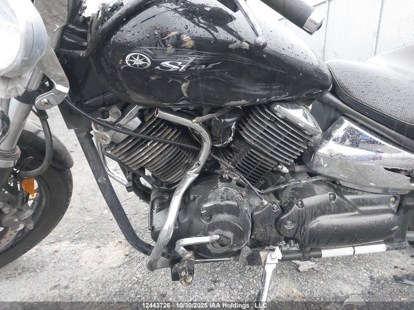 JYAVP11N69A021455 2009 YAMAHA XV photo no. 12