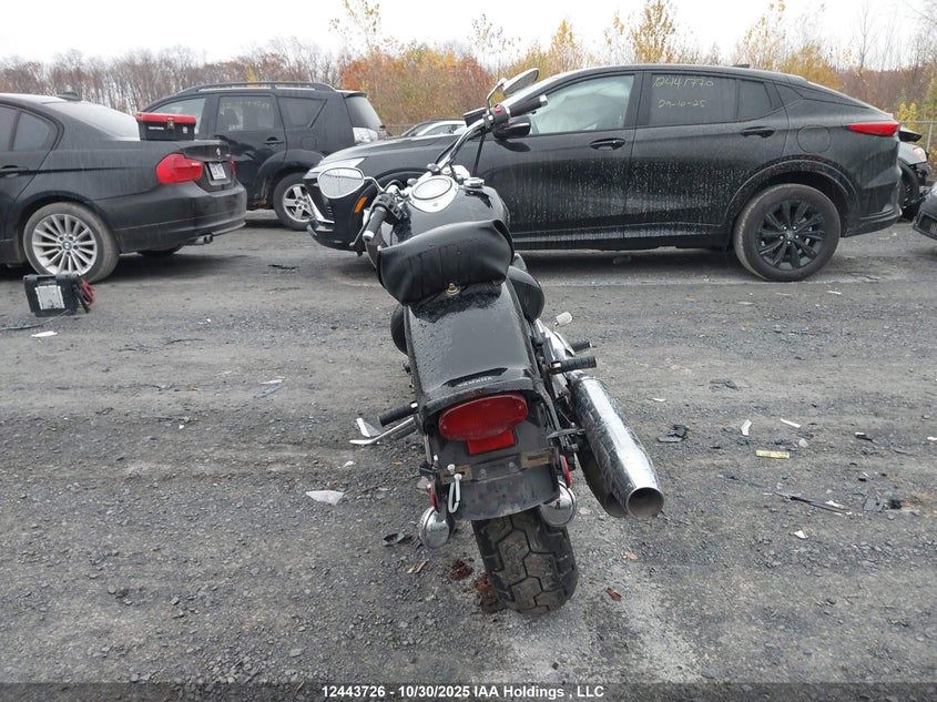 JYAVP11N69A021455 2009 YAMAHA XV photo no. 6