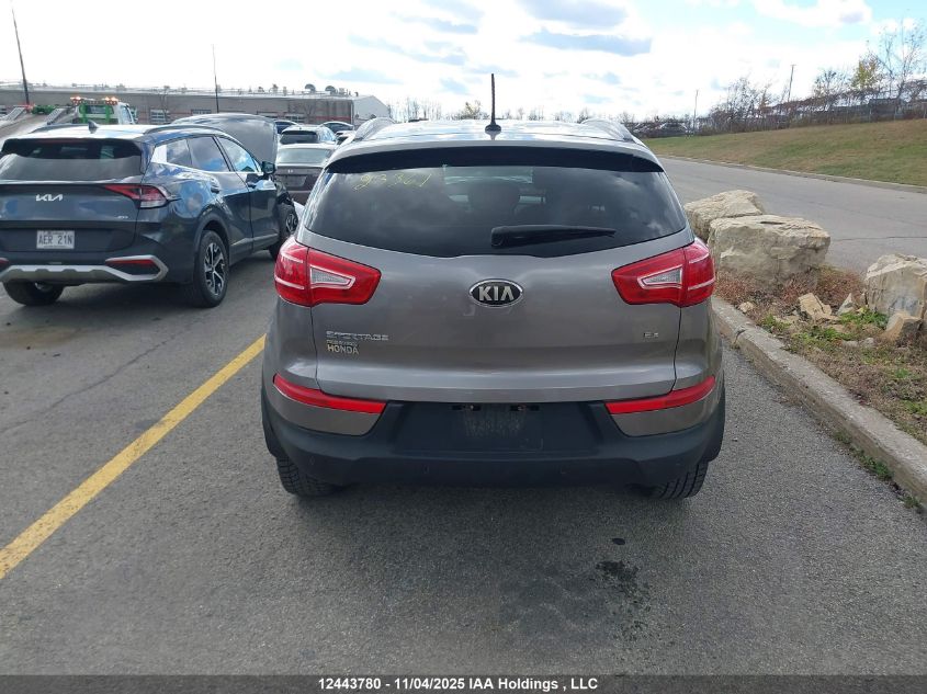 2013 Kia Sportage Ex VIN: KNDPC3A22D7375473 Lot: 12443780