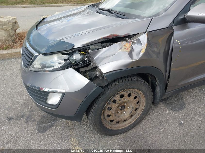 2013 Kia Sportage Ex VIN: KNDPC3A22D7375473 Lot: 12443780