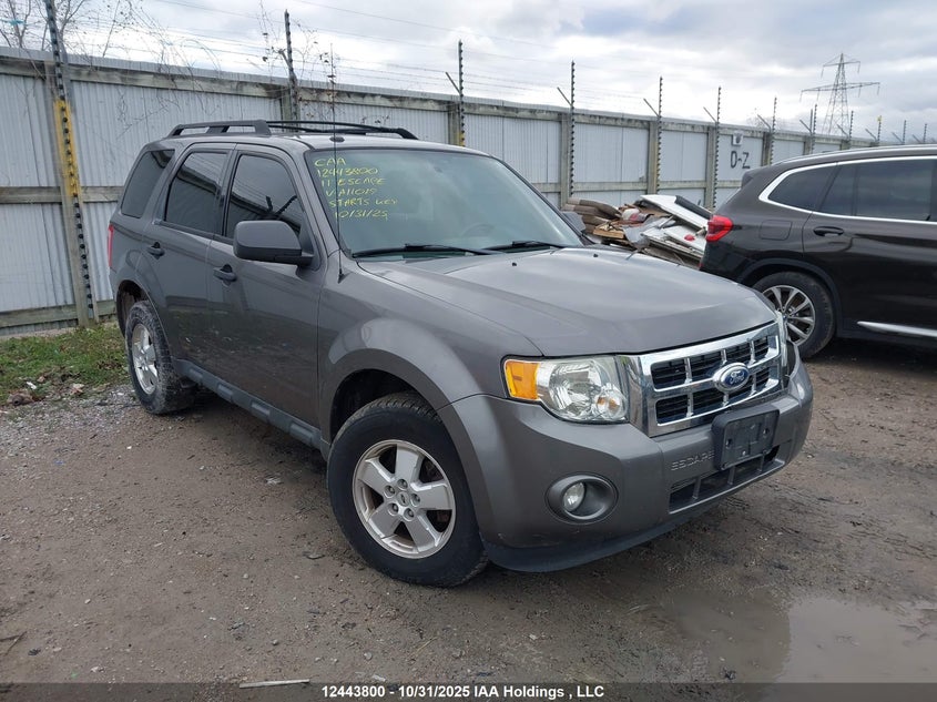 1FMCU0D73BKA11019 2011 Ford Escape Xlt auction photo 1