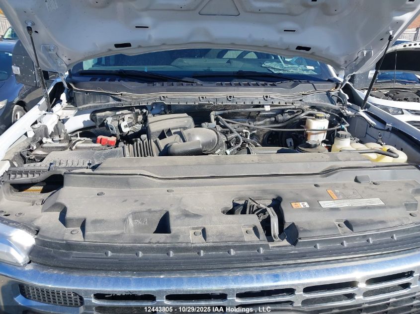 2024 Ford F250 Super Duty VIN: 1FT7W2BN2RED04769 Lot: 12443805