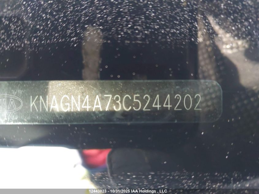 2012 Kia Optima Ex VIN: KNAGN4A73C5244202 Lot: 12443823