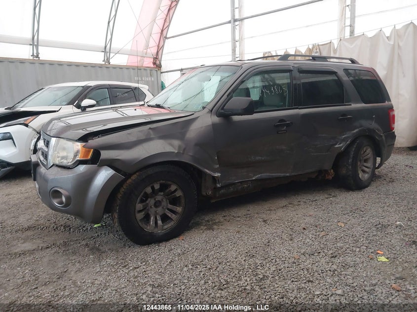 1FMCU9DG2BKA23358 2011 FORD ESCAPE photo no. 2