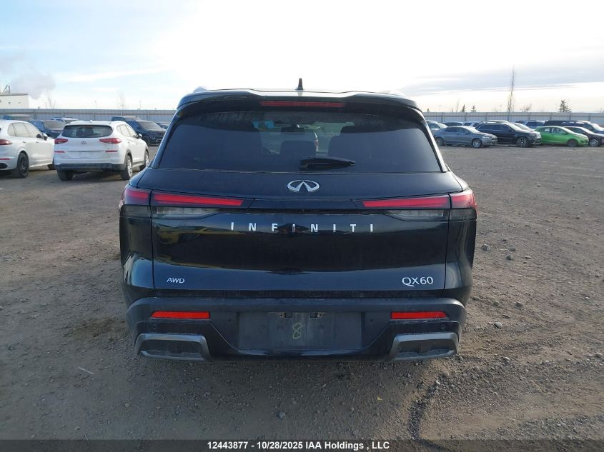 2022 Infiniti Qx60 Luxe VIN: 5N1DL1FS7NC338486 Lot: 12443877