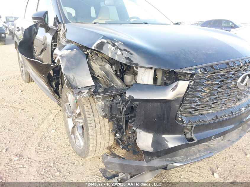 2022 Infiniti Qx60 Luxe VIN: 5N1DL1FS7NC338486 Lot: 12443877