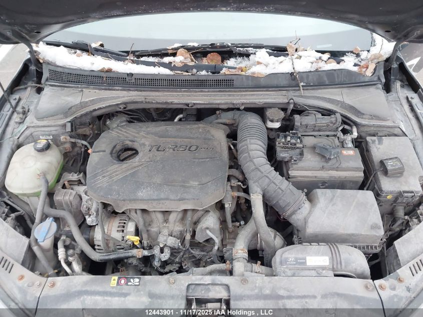 2019 Hyundai Veloster Turbo/Turbo R-Spec/Turbo Ultimate VIN: KMHTH6AB5KU008062 Lot: 12443901