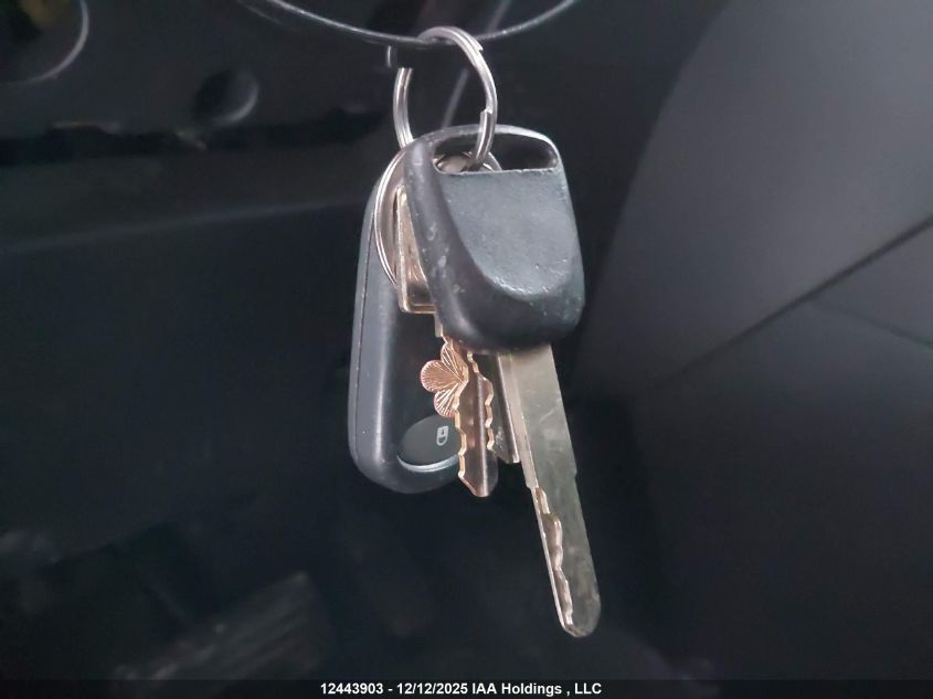 2008 Honda Element Sc VIN: 5J6YH18928L800761 Lot: 12443903