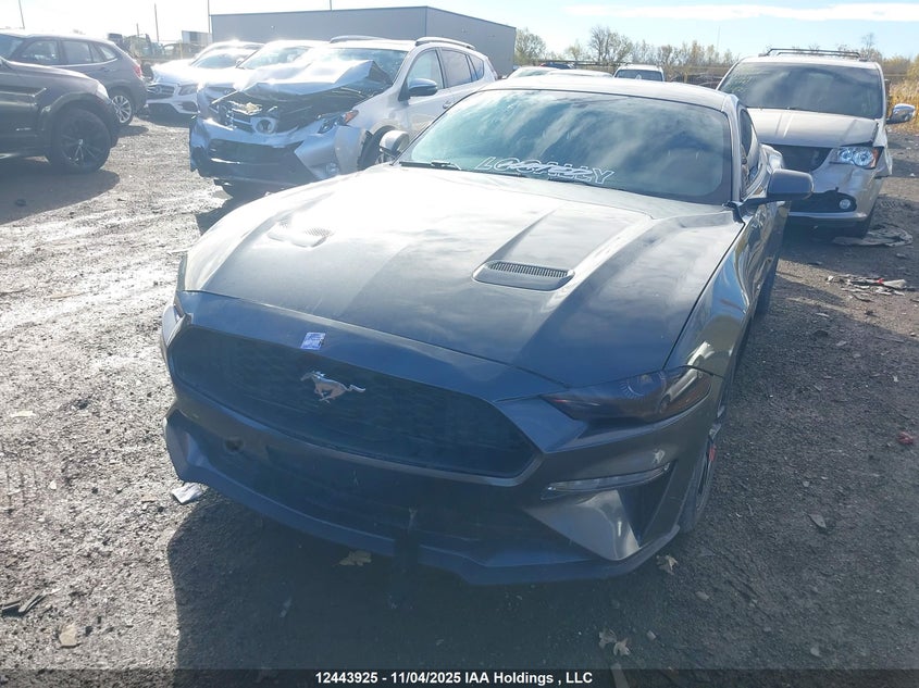 1FA6P8TH0L5140178 2020 FORD MUSTANG photo no. 2
