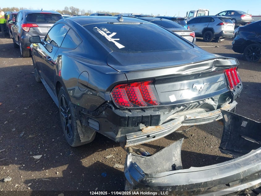 1FA6P8TH0L5140178 2020 FORD MUSTANG photo no. 3