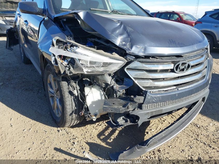 2014 Hyundai Santa Fe Sport 2.4 Premium VIN: 5XYZUDLB1EG126630 Lot: 12443964