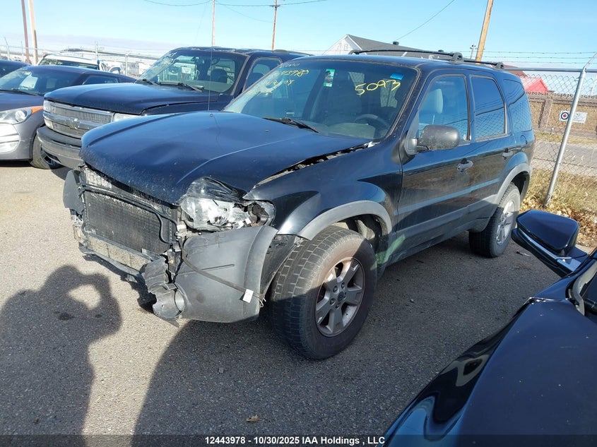 1FMYU03127KA96459 2007 FORD ESCAPE photo no. 2