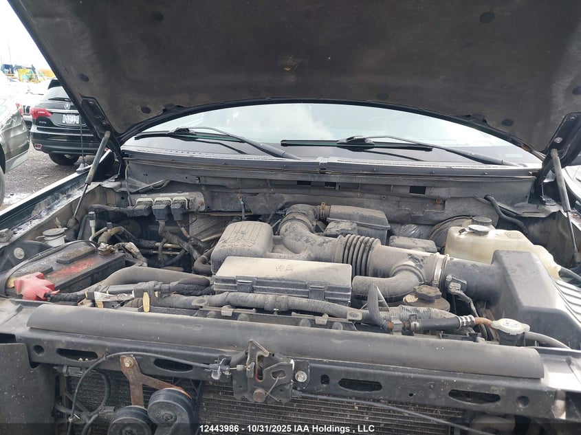 1FTPW14V79FB22972 2009 FORD F-150 photo no. 10