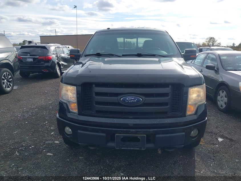 1FTPW14V79FB22972 2009 FORD F-150 photo no. 12