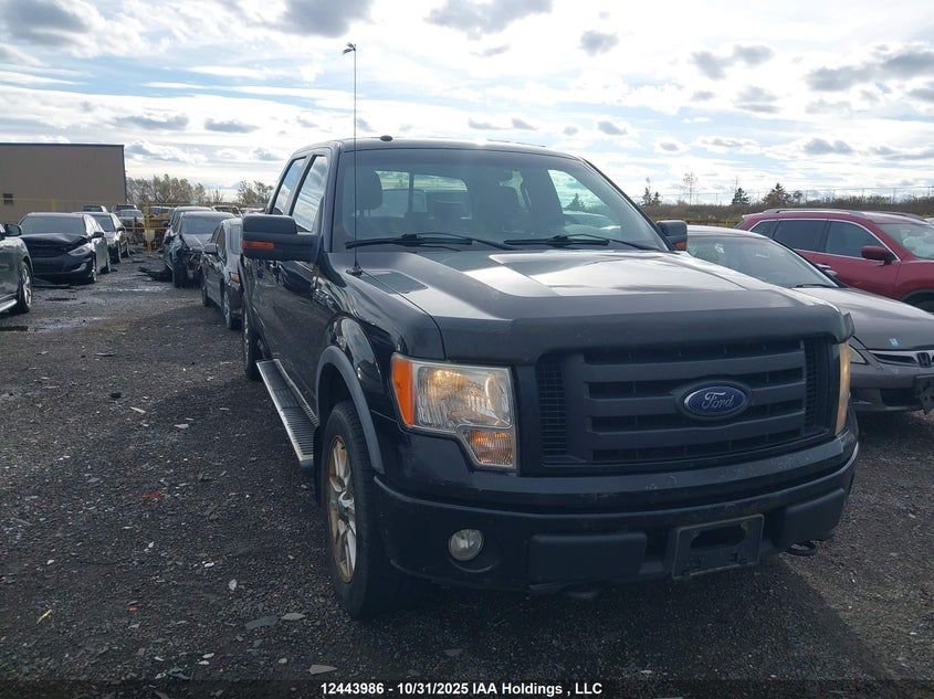 1FTPW14V79FB22972 2009 FORD F-150 photo no. 15