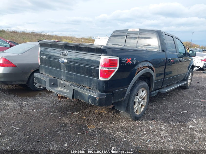 1FTPW14V79FB22972 2009 FORD F-150 photo no. 4