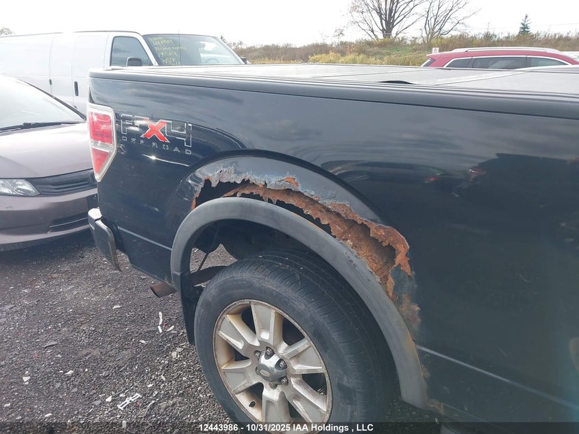 1FTPW14V79FB22972 2009 FORD F-150 photo no. 6