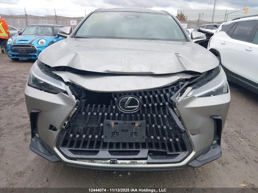 2023 Lexus Nx 350 VIN: 2T2GGCEZ7PC019885 Lot: 12444074