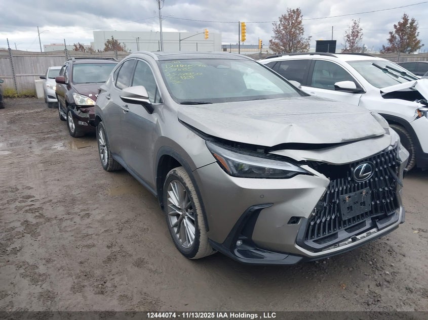 2023 Lexus Nx 350 VIN: 2T2GGCEZ7PC019885 Lot: 12444074