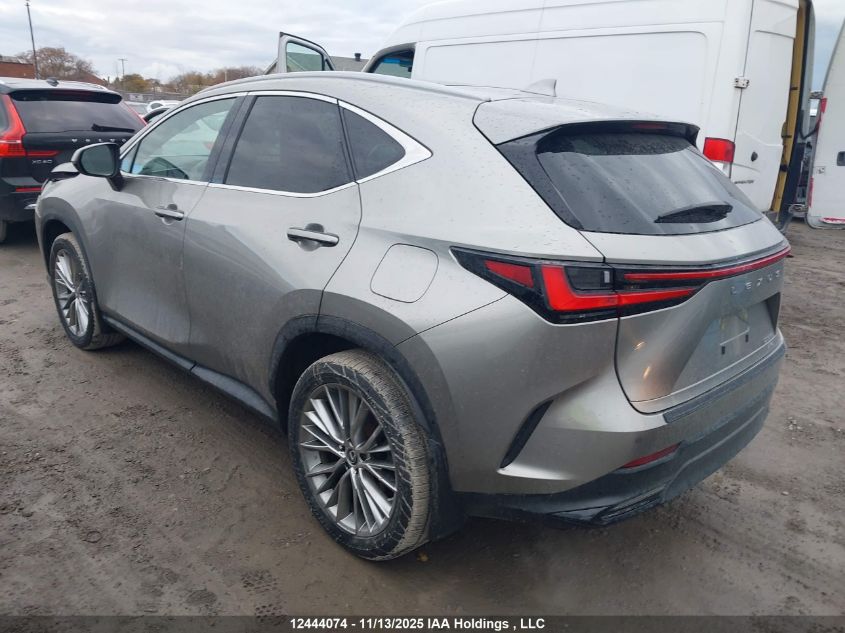 2023 Lexus Nx 350 VIN: 2T2GGCEZ7PC019885 Lot: 12444074