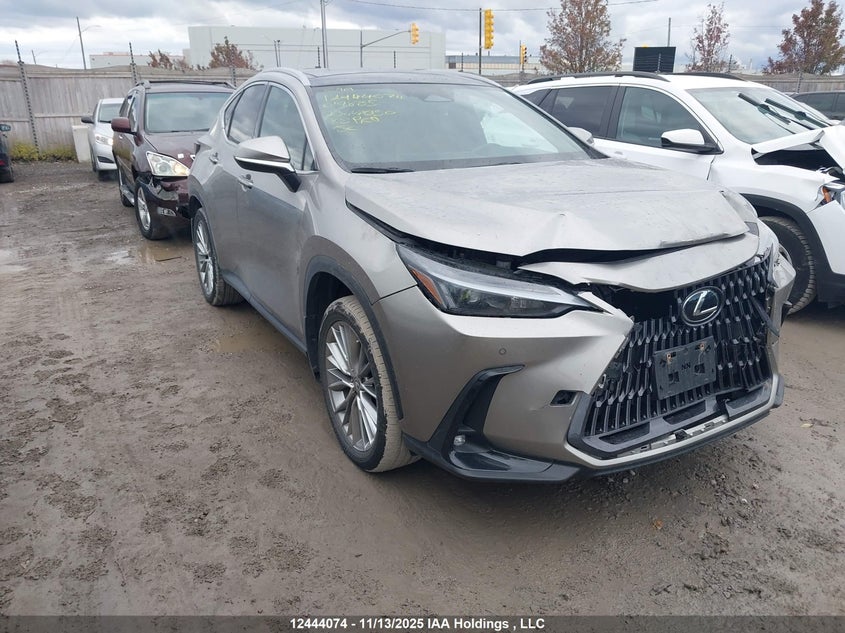 2T2GGCEZ7PC019885 2023 Lexus Nx 350 auction photo 1