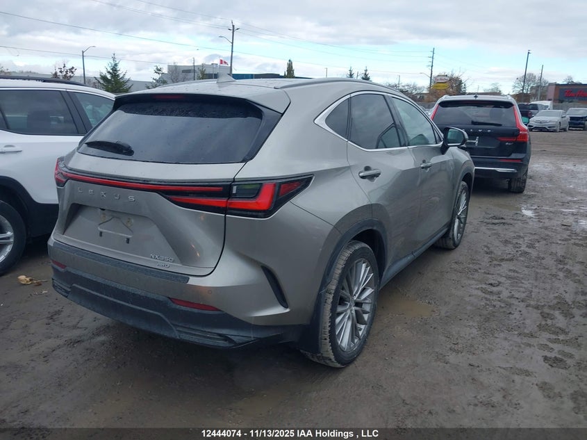 2T2GGCEZ7PC019885 2023 LEXUS NX photo no. 4