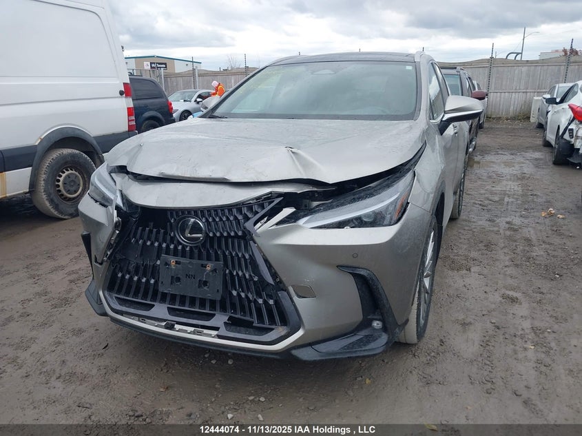 2023 Lexus Nx 350 VIN: 2T2GGCEZ7PC019885 Lot: 12444074