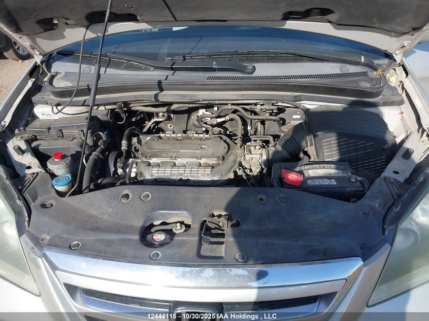 2006 Honda Odyssey Ex VIN: 5FNRL38436B503264 Lot: 12444115