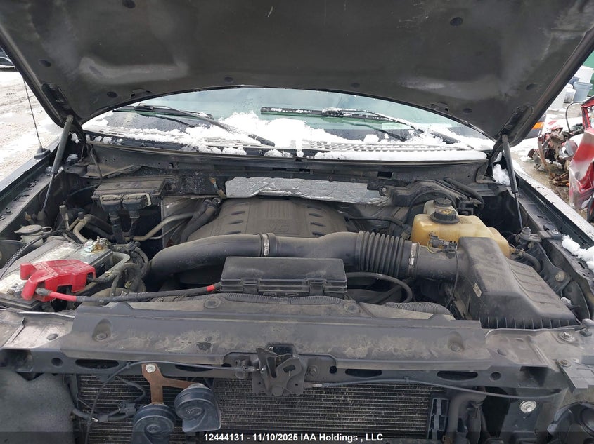 1FTFW1ET5DFA48517 2013 FORD F-150 photo no. 10