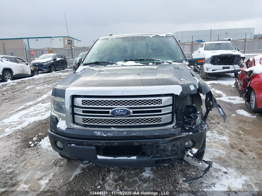 1FTFW1ET5DFA48517 2013 FORD F-150 photo no. 12