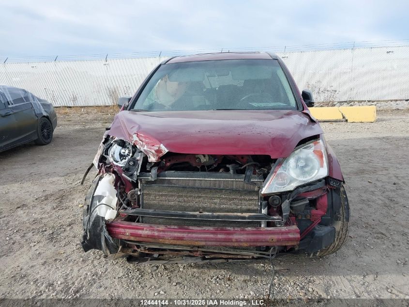 2007 Honda Cr-V VIN: 5J6RE48507L815219 Lot: 12444144