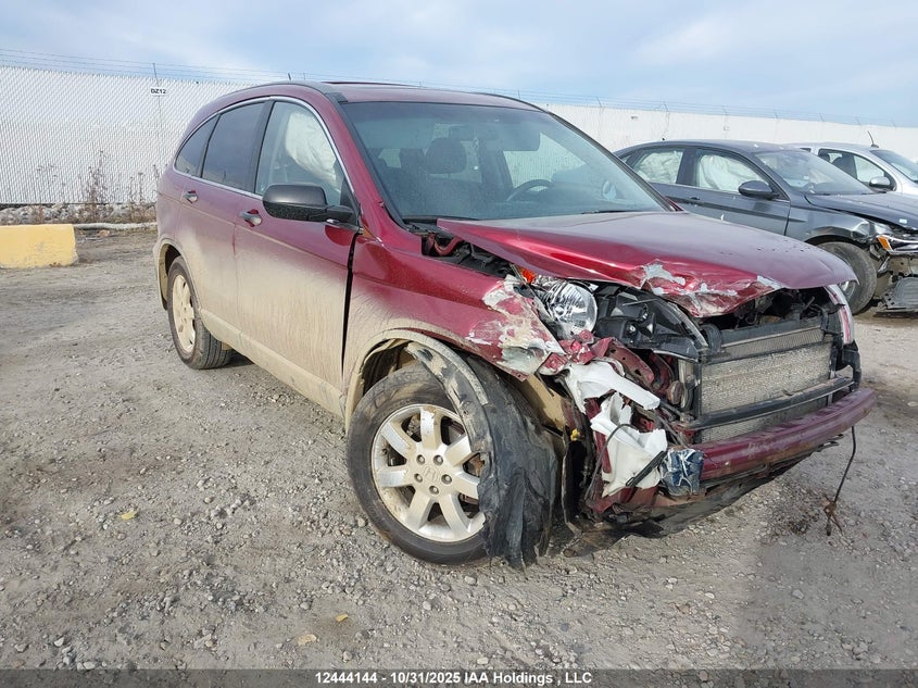 5J6RE48507L815219 2007 Honda Cr-V auction photo 1