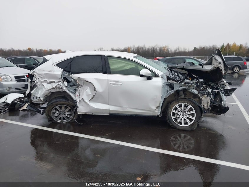 JTJAARDZ1M5027728 2021 LEXUS NX photo no. 14
