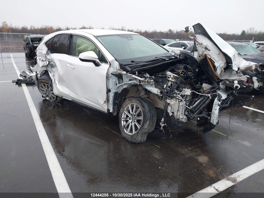 JTJAARDZ1M5027728 2021 LEXUS NX photo no. 7