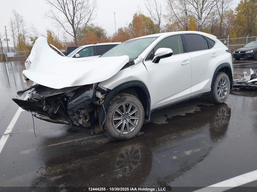JTJAARDZ1M5027728 2021 LEXUS NX photo no. 2